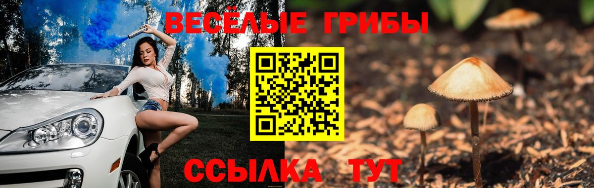 Галлюциногенные грибы мухоморы  цена наркотик  Сухой Лог  Вход с VPN 