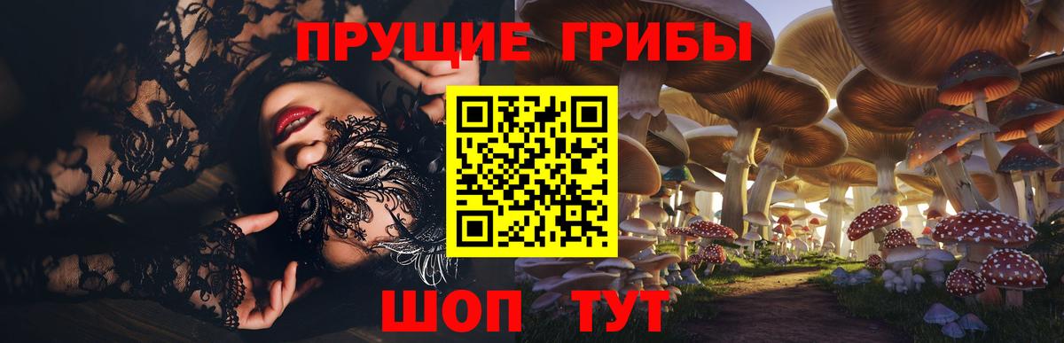 Галлюциногенные грибы GOLDEN TEACHER Сухой Лог